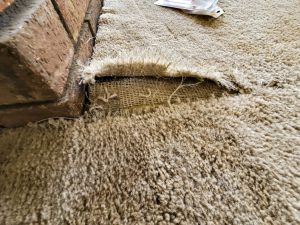 damage carpet that needs repairs